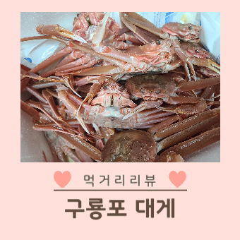 포항 구룡포 대게철 후기|집에서 대게 쪄 먹기 대표 이미지