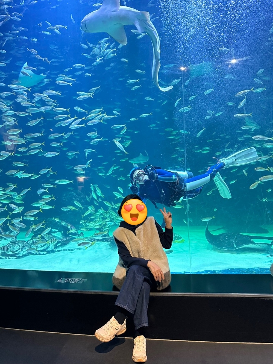 대구 아쿠아리움 메인 수조와 포토존