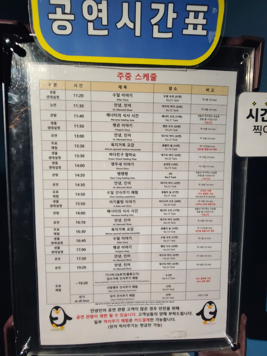 대구 아쿠아리움 아이 동반 관람 동선