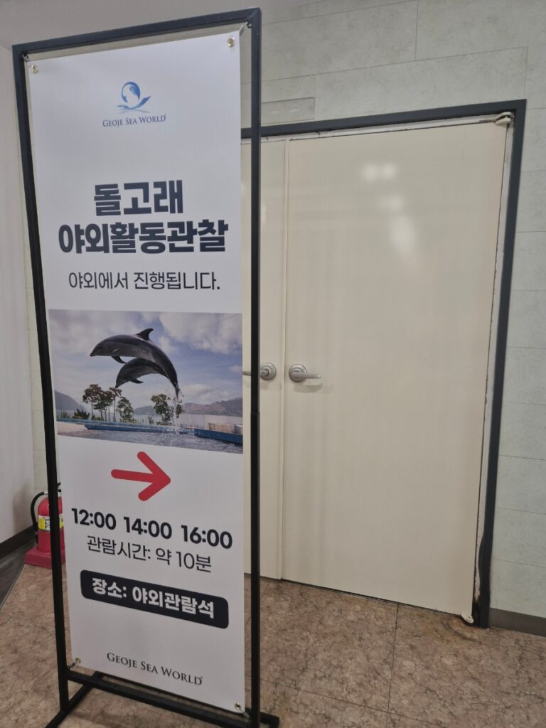 거제 씨월드 돌고래를 관람하는 가족