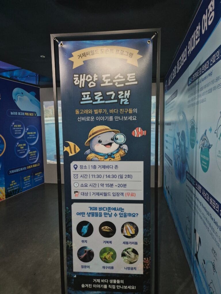 거제 씨월드 돌고래 야외활동 관찰
